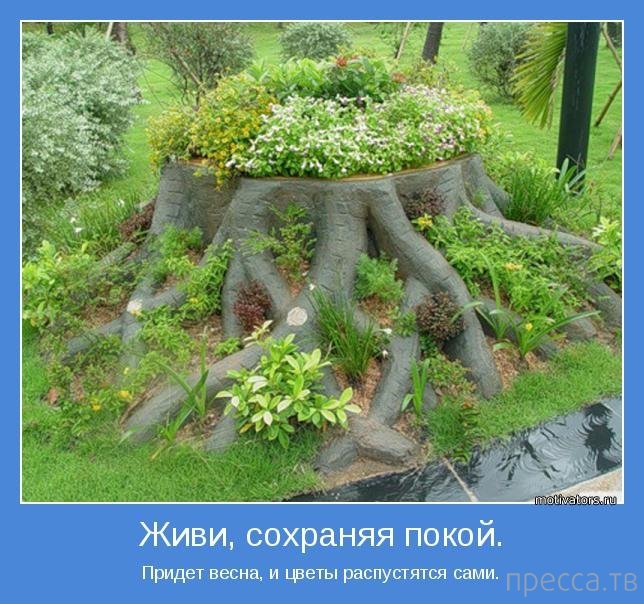 ���������� ����������, ����� 27 (18 ����)