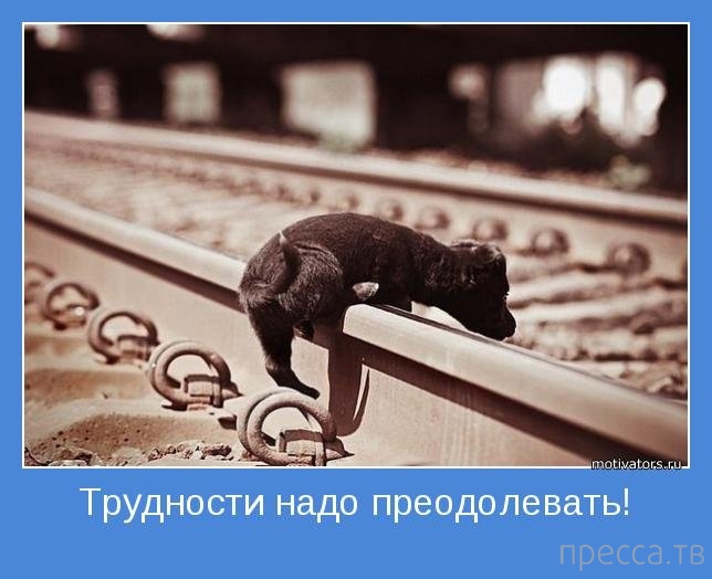 ���������� ����������, ����� 27 (18 ����)