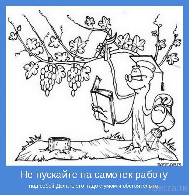 ���������� ����������, ����� 27 (18 ����)