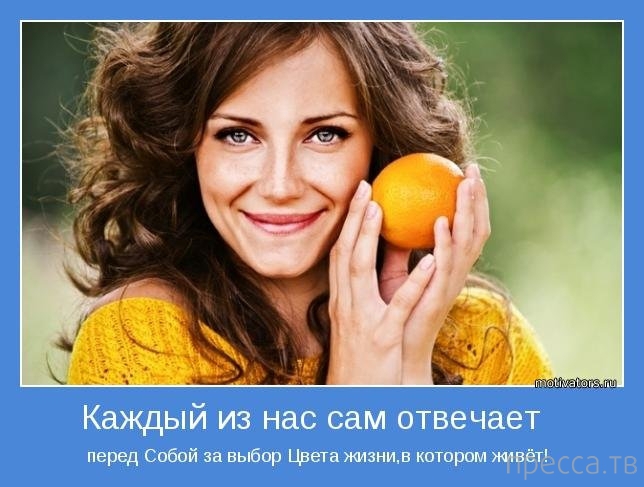 ���������� ����������, ����� 27 (18 ����)