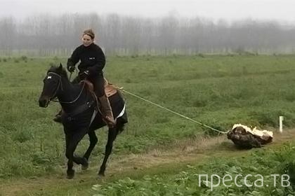 ����� �������� ������� ����� ������� (9 ����)