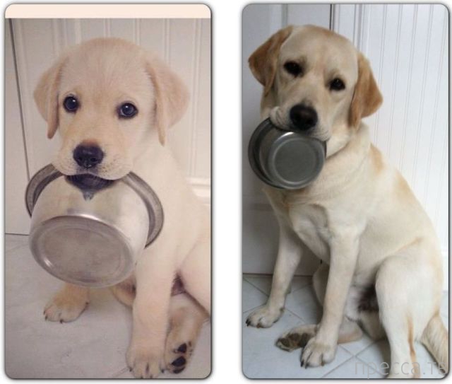 ����� �������� - �������� ��������, ����� 23 (45 ����)