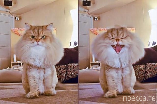 ����� �������� - �������� ��������, ����� 23 (45 ����)