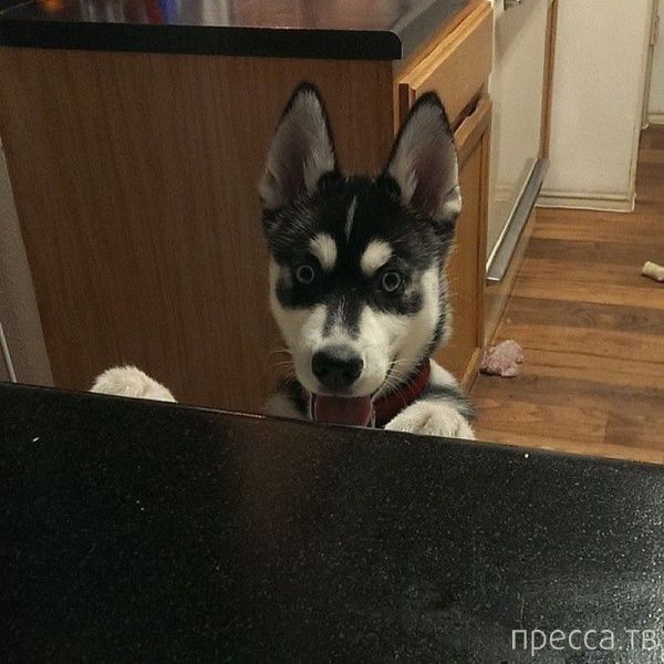 ����� �������� - �������� ��������, ����� 23 (45 ����)