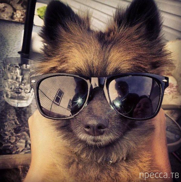 ����� �������� - �������� ��������, ����� 23 (45 ����)