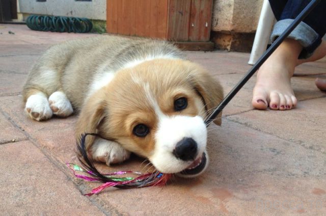 ����� �������� - �������� ��������, ����� 23 (45 ����)