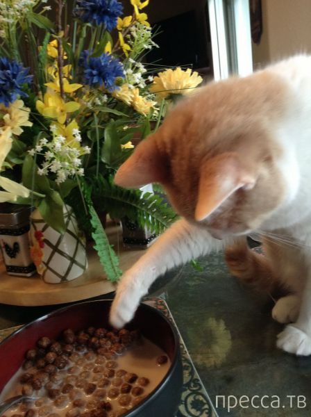 ����� �������� - �������� ��������, ����� 23 (45 ����)