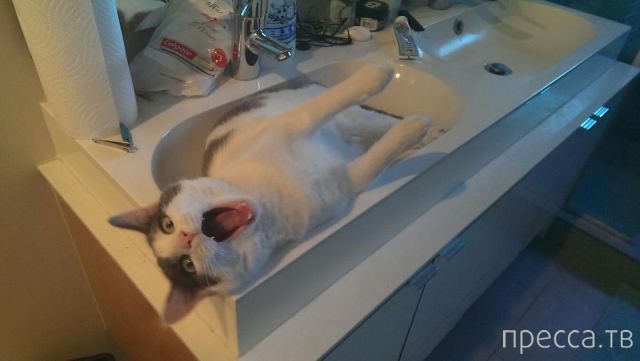 ����� �������� - �������� ��������, ����� 23 (45 ����)