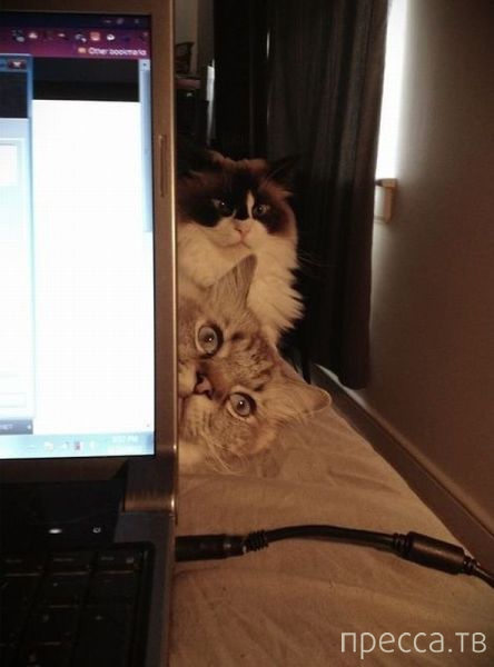 ����� �������� - �������� ��������, ����� 23 (45 ����)