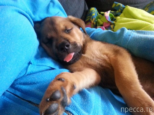 ����� �������� - �������� ��������, ����� 23 (45 ����)