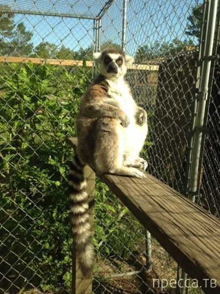 ����� �������� - �������� ��������, ����� 23 (45 ����)