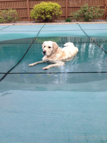 ����� �������� - �������� ��������, ����� 23 (45 ����)