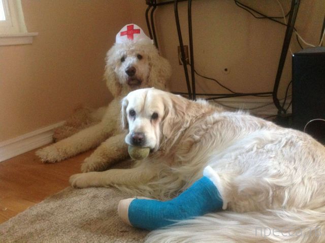 ����� �������� - �������� ��������, ����� 23 (45 ����)