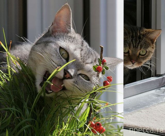 ����� �������� - �������� ��������, ����� 23 (45 ����)