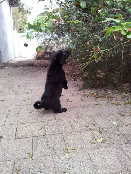 ����� �������� - �������� ��������, ����� 24 (46 ����)