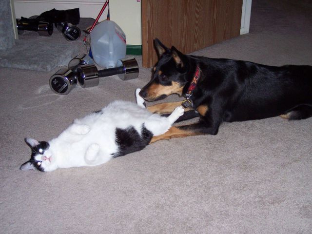 ����� �������� - �������� ��������, ����� 24 (46 ����)