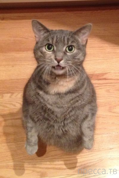 ����� �������� - �������� ��������, ����� 24 (46 ����)