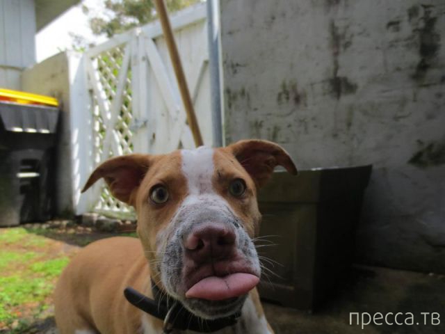 ����� �������� - �������� ��������, ����� 24 (46 ����)