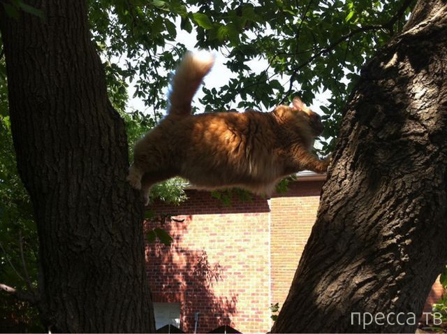 ����� �������� - �������� ��������, ����� 24 (46 ����)