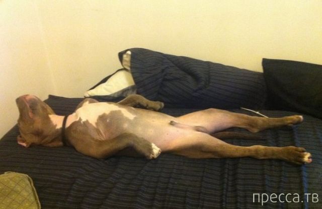 ����� �������� - �������� ��������, ����� 24 (46 ����)