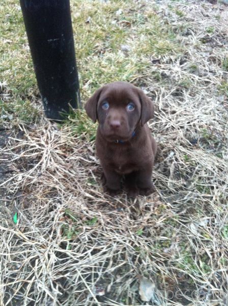 ����� �������� - �������� ��������, ����� 24 (46 ����)