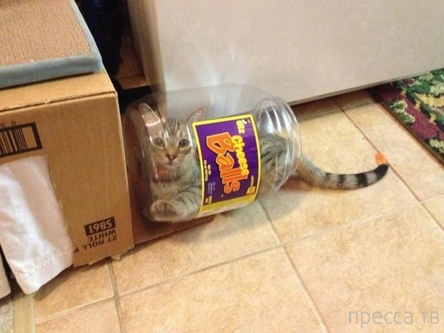 ����� �������� - �������� ��������, ����� 24 (46 ����)