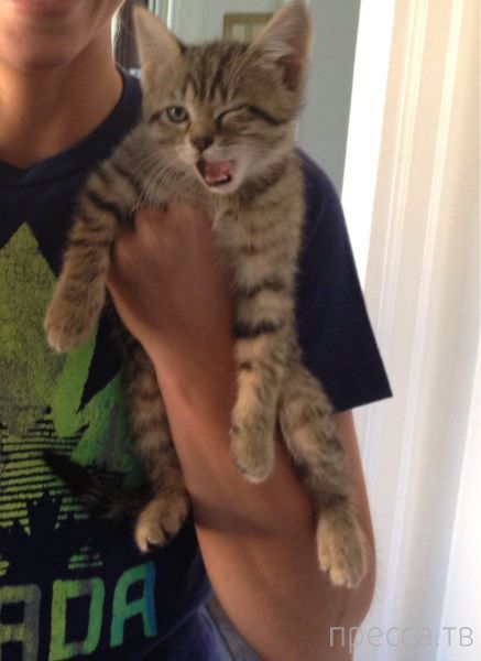 ����� �������� - �������� ��������, ����� 25 (47 ����)