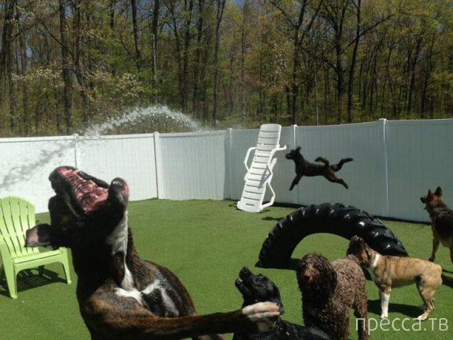 ����� �������� - �������� ��������, ����� 25 (47 ����)