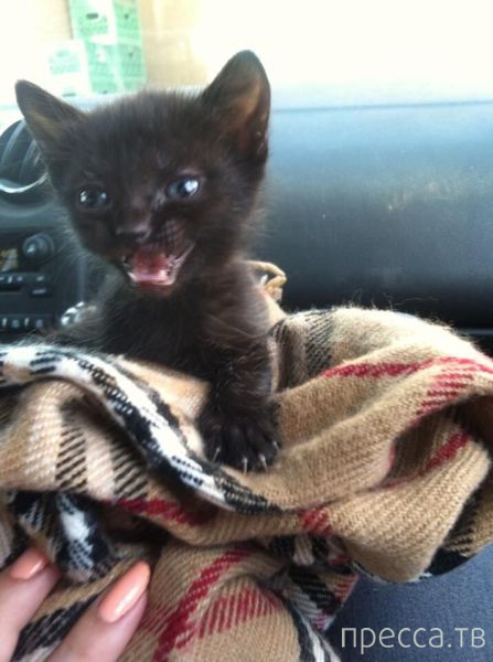 ����� �������� - �������� ��������, ����� 25 (47 ����)