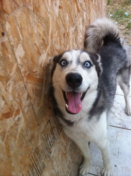 ����� �������� - �������� ��������, ����� 25 (47 ����)