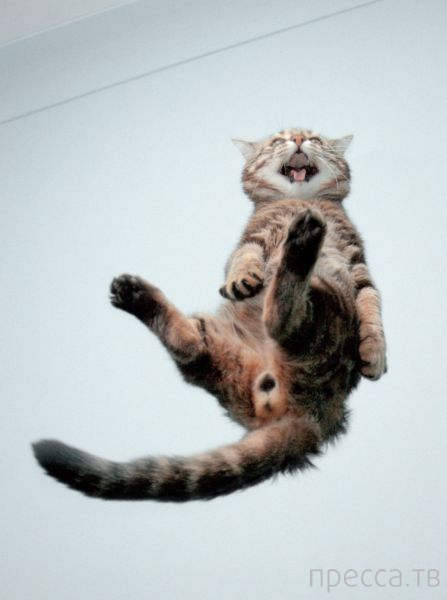 ����� �������� - �������� ��������, ����� 25 (47 ����)