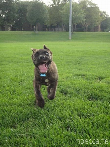 ����� �������� - �������� ��������, ����� 25 (47 ����)