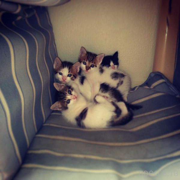 ����� �������� - �������� ��������, ����� 25 (47 ����)