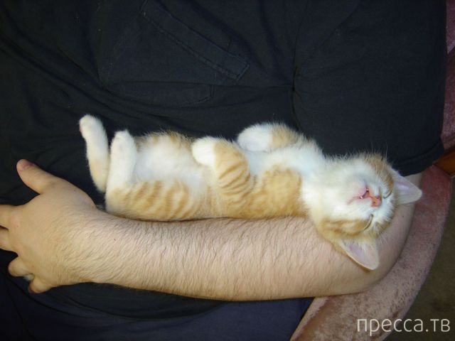 ����� �������� - �������� ��������, ����� 25 (47 ����)