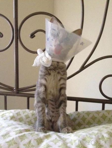 ����� �������� - �������� ��������, ����� 26 (46 ����)