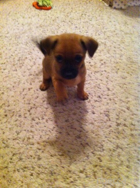 ����� �������� - �������� ��������, ����� 26 (46 ����)