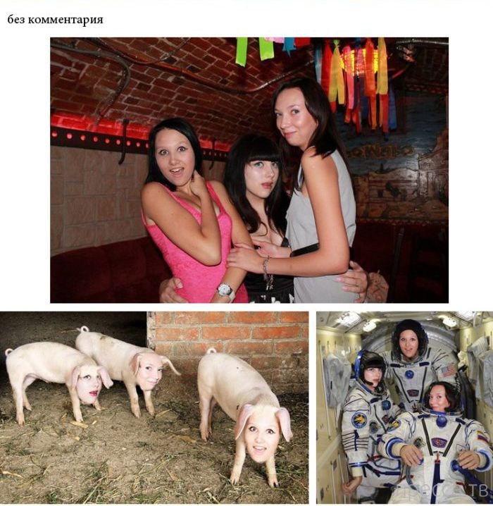 ������� ������� �� ������ � ��� (20 ����)