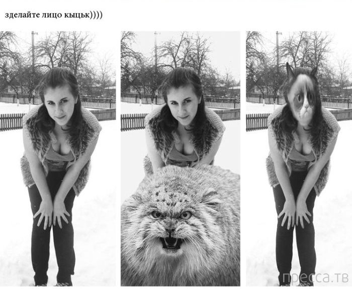 ������� ������� �� ������ � ��� (20 ����)