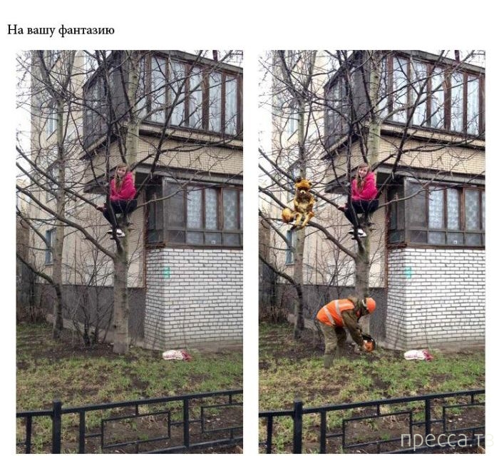 ������� ������� �� ������ � ��� (20 ����)