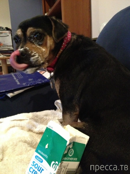 ����� �������� - �������� ��������, ����� 27 (49 ����)