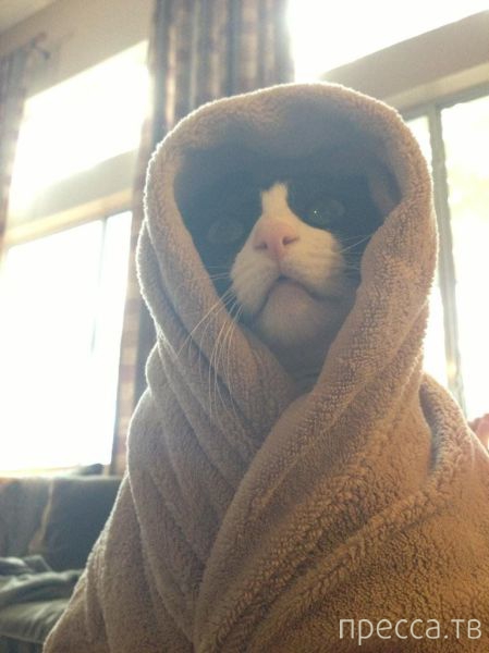 ����� �������� - �������� ��������, ����� 27 (49 ����)