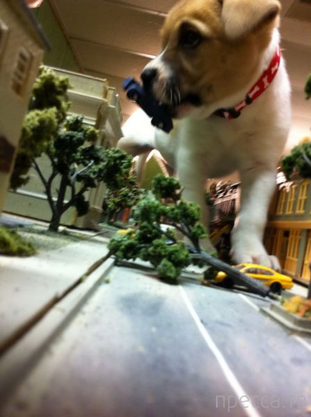 ����� �������� - �������� ��������, ����� 27 (49 ����)