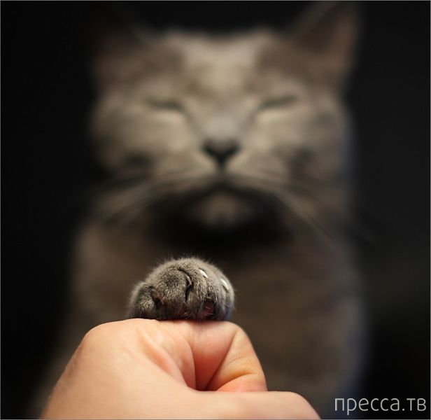 ����� �������� - �������� ��������, ����� 27 (49 ����)