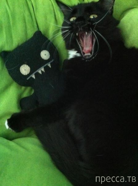 ����� �������� - �������� ��������, ����� 27 (49 ����)