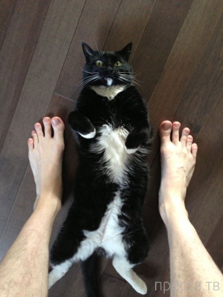 ����� �������� - �������� ��������, ����� 27 (49 ����)