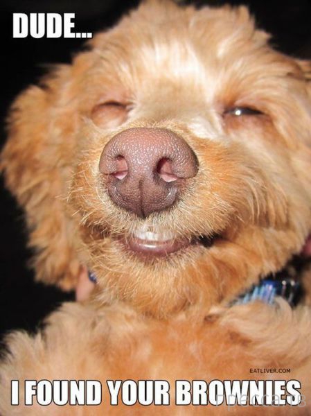 ����� �������� - �������� ��������, ����� 28 (46 ����)