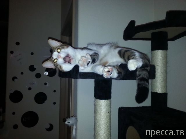 ����� �������� - �������� ��������, ����� 28 (46 ����)