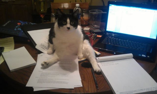 ����� �������� - �������� ��������, ����� 28 (46 ����)