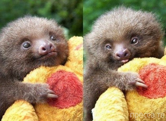 ����� �������� - �������� ��������, ����� 28 (46 ����)