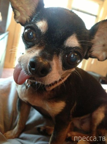 ����� �������� - �������� ��������, ����� 28 (46 ����)